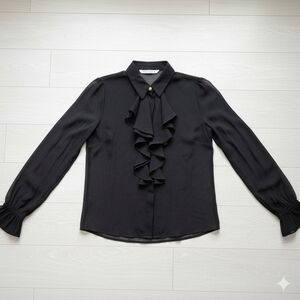 Zara Semi-Sheer Black Ruffle Front Long Sleeve Blouse
